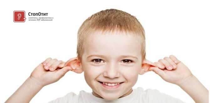 Чому у ребнка різні вуха