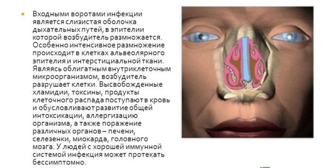 Чому в положенні лежачи закладає ніс і що робити? Чому закладає ніс у положенні лежачи? Причини і лікування.