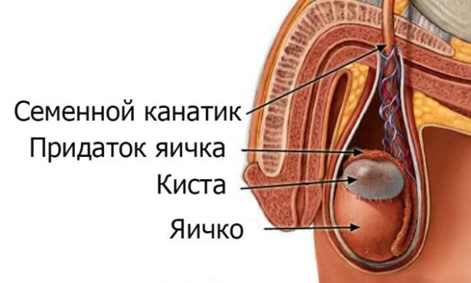 Чому виникає часте сечовипускання у чоловіків вночі