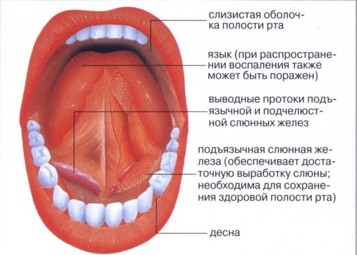 Чому виникає сухість слизових оболонок