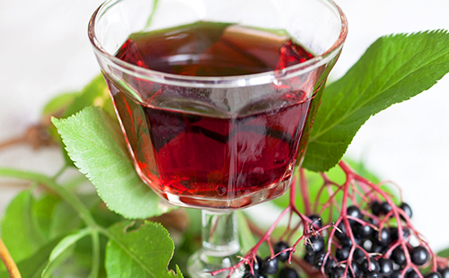 Чорна бузина корисні властивості і протипоказання — Корисні властивості Чорна бузина корисні властивості і протипоказання — Корисні властивості