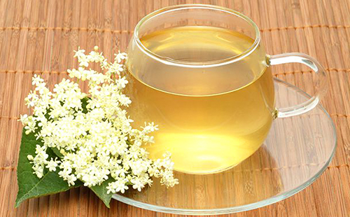 Чорна бузина корисні властивості і протипоказання — Корисні властивості Чорна бузина корисні властивості і протипоказання — Корисні властивості