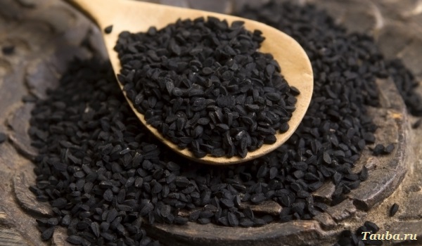 Чорний кмин корисні властивості та протипоказання застосування насіння і олії Чорний кмин корисні властивості та протипоказання застосування насіння і олії