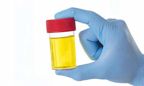 Цифран (СТ, ОД): інструкція по застосуванню, ціна та відгуки