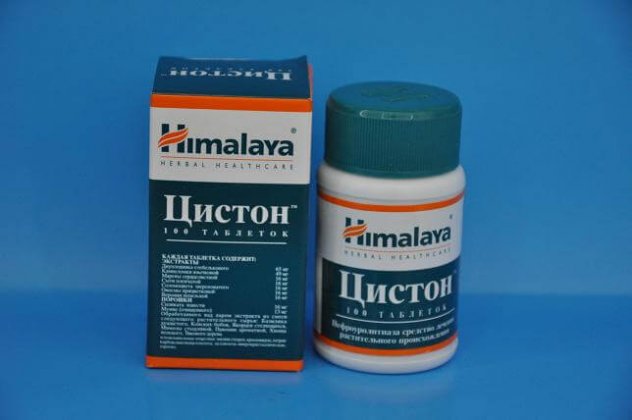 Цистон при вагітності на ранніх термінах