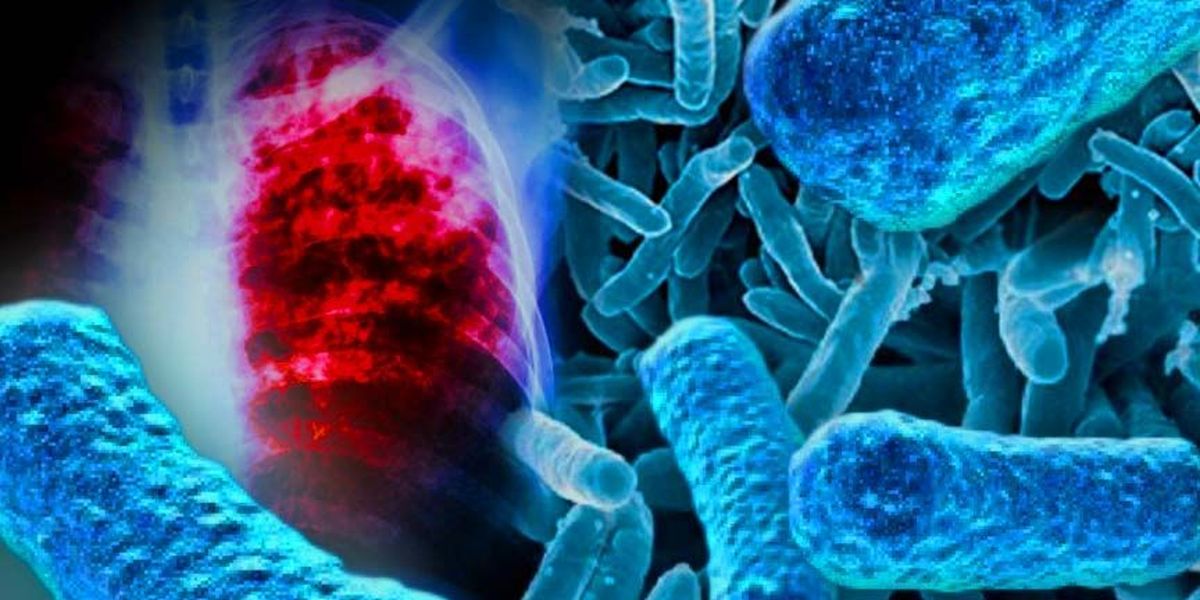 Діагностика і лікування туберкульозу – Перший з туберкульозу