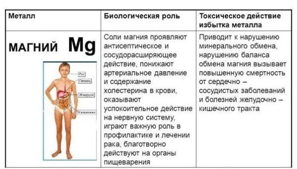 Дієта при жовчнокам’яній хворобі меню дієти 5 при загостренні жовчнокам’яної хвороби