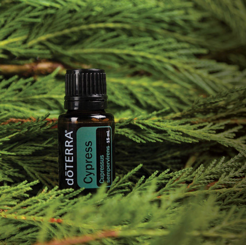 Ефірне масло кипариса для обличчя