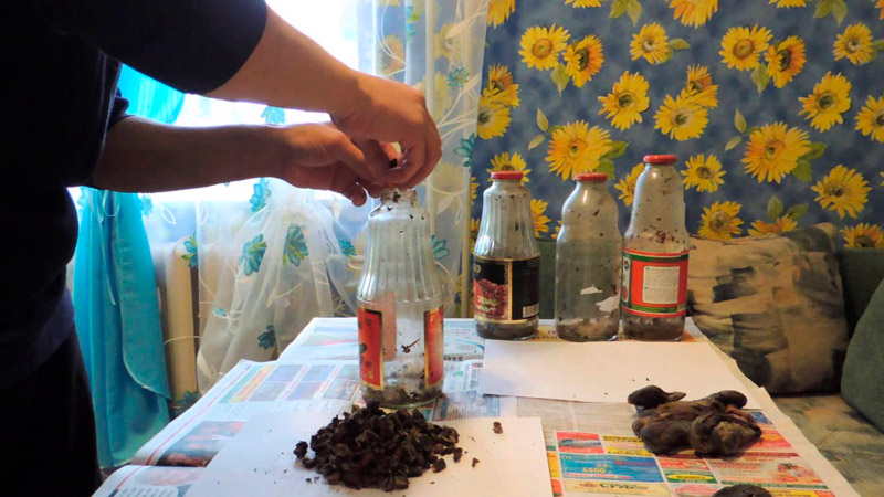 Ефективність бобрової струменя при лікуванні псоріазу