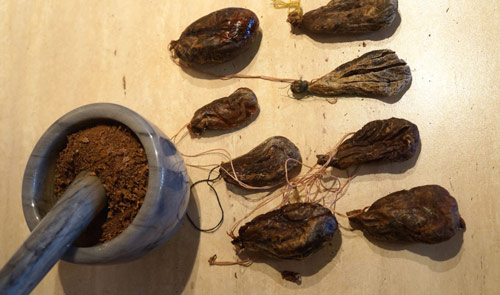 Ефективність бобрової струменя при лікуванні псоріазу