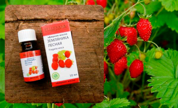 Ефективність масла камелії для шкіри – дієві рецепти