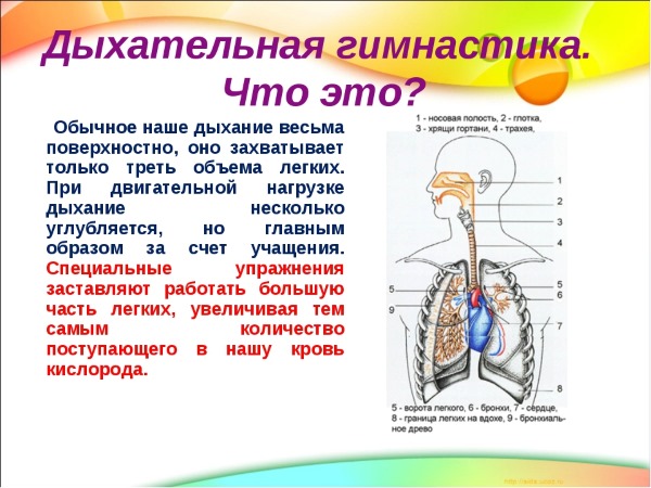 Ефективний засіб від нежитю для дітей. Лікування нежиті у дітей