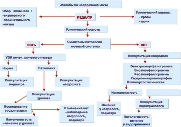 Енурез у дітей: лікування народними засобами в домашніх умовах