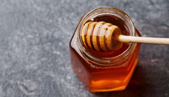 Еспарцетовий мед його властивості і застосування Еспарцетовий мед його властивості і застосування