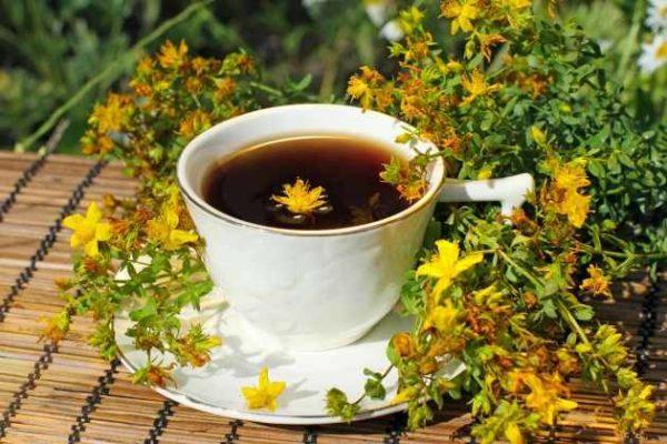 Езофагіт і трави лікування народними засобами