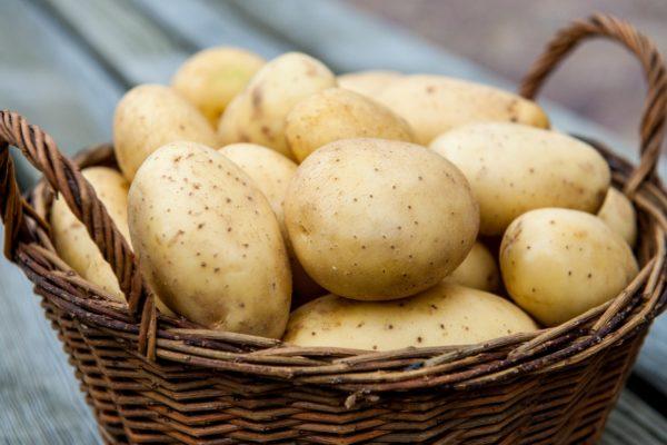 Езофагіт і трави лікування народними засобами