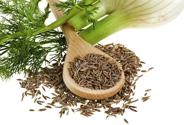 Фенхель – лікувальні властивості і протипоказання
