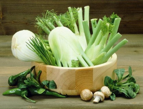 Фенхель – лікувальні властивості і протипоказання