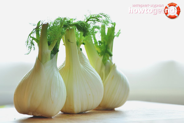 Фенхель – лікувальні властивості і протипоказання