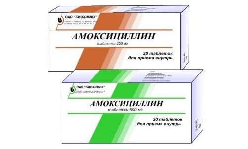 Флемоксин солютаб при гаймориті дозування дорослим