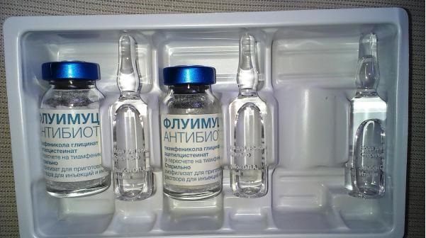 Флуімуціл для інгаляцій: приготування розчину та проведення процедури. Флуімуціл для інгаляцій: лікування кашлю у дорослих і дітей