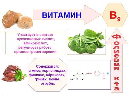 Фолієва кислота при вагітності в яких продуктах міститься