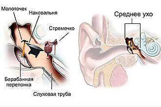Функції середнього вуха та можливі захворювання