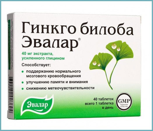 Гінкго білоба — лікувальні властивості, застосування і рецепти