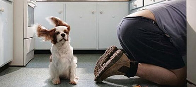 Гази в кишечнику причини і як позбутися