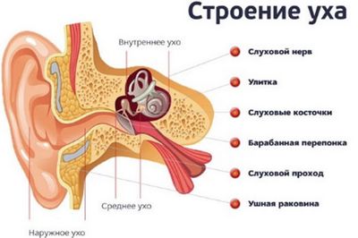 Головний біль і запаморочення при отиті