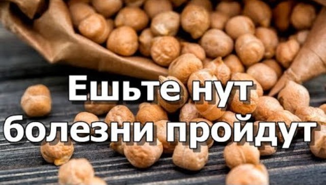 Горох нут користь і вреддля здоров’я як приготувати
