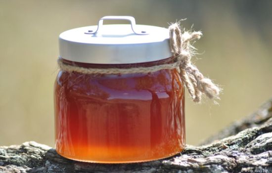 Гречаний мед: користь і шкода для організму
