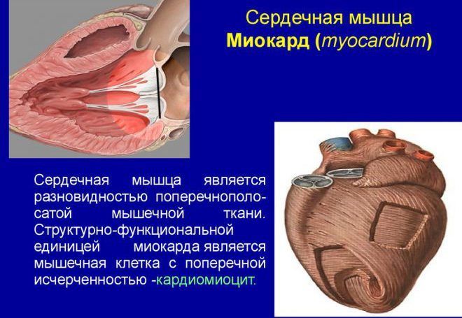 Грибкова ангіна у дітей: медикаментозне і народне лікування. Лікування грибкової ангіни у дітей і дорослих, можливі ускладнення