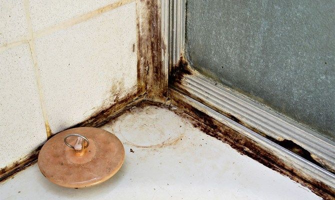 Грибок у ванній кімнаті як видалити народні засоби