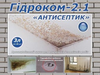 Грибок у ванній кімнаті як видалити народні засоби