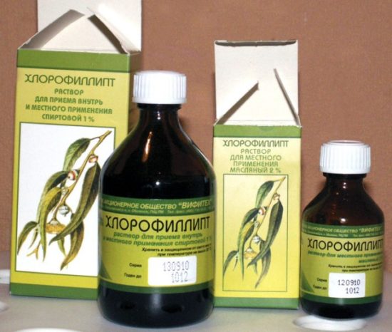 Хлорофіліпт при гнійній ангіні: як застосовувати для полоскань