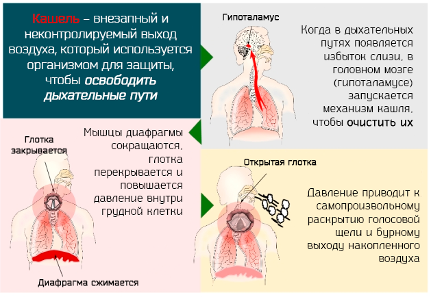 Хороший сироп від кашлю для дітей як підібрати