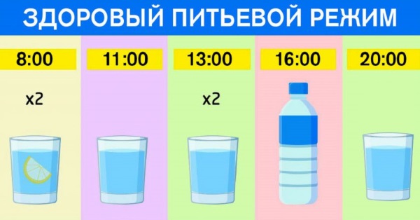 Хронічний етмоїдит – симптоми і лікування у дорослих, як лікувати