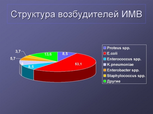Хронічний пієлонефрит як правильно лікувати