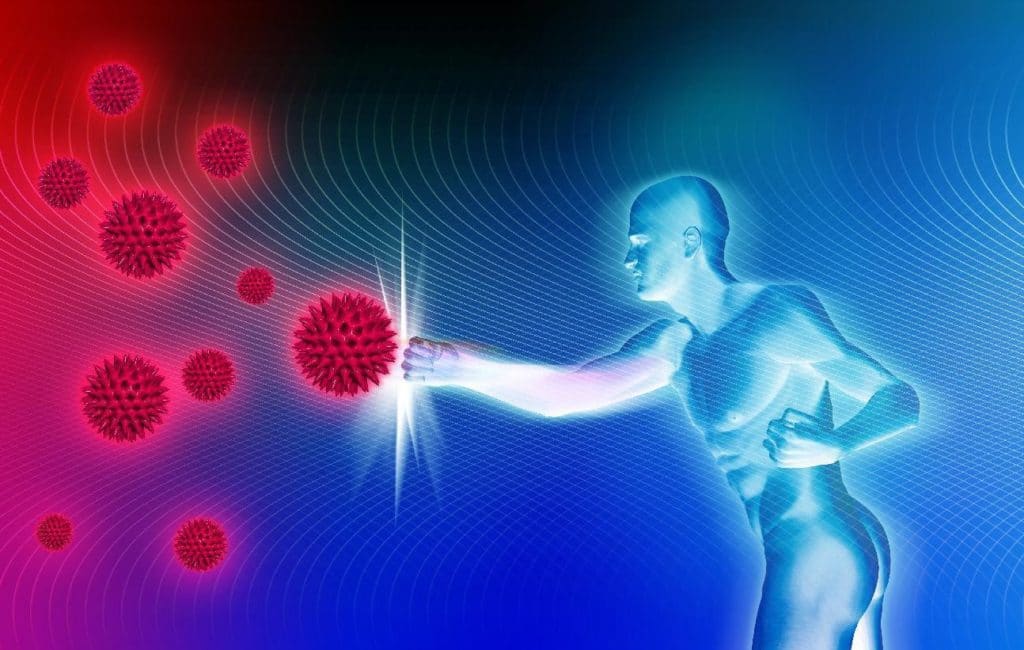 Хто лікував папілому в піхву народними засобами Хто лікував папілому в піхву народними засобами