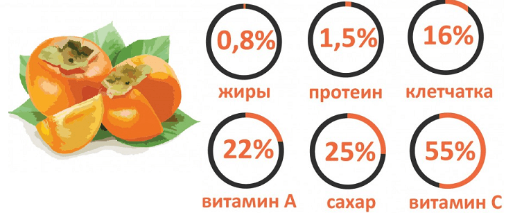 Хурма, користь і шкода для організму, протипоказання і шкоду