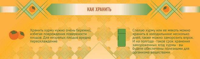 Хурма, користь і шкода для організму, протипоказання і шкоду