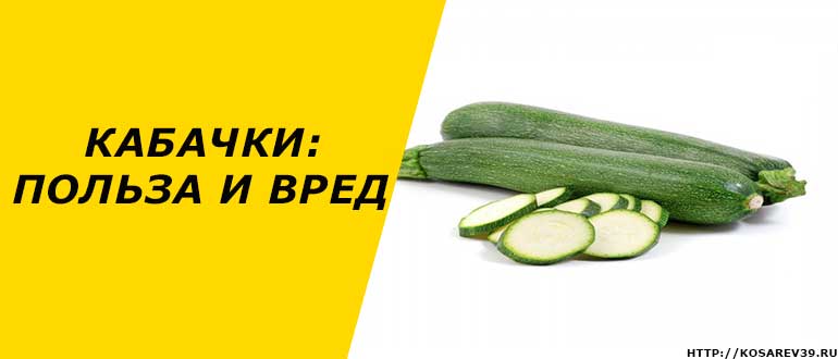 Кабачки: користь і шкода для здоров’я організму