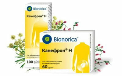 Канефрон сироп: інструкція по застосуванню