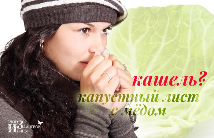 Капустяний лист лікувальні властивості при кашлі