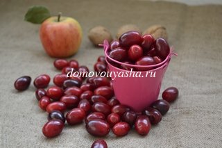 Кизил – корисні властивості і протипоказання ягід, винограду