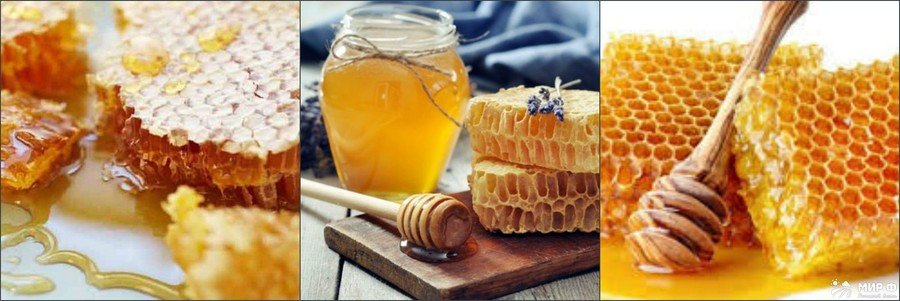 Класифікація видів меду і їх користь для організму