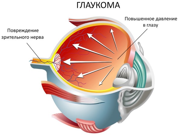 Корінь солодки сироп інструкція по застосуванню дорослим