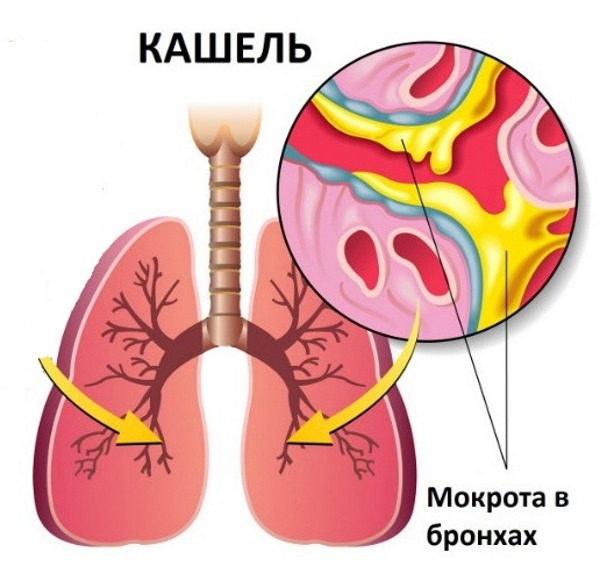 Корінь солодки сироп інструкція по застосуванню дорослим