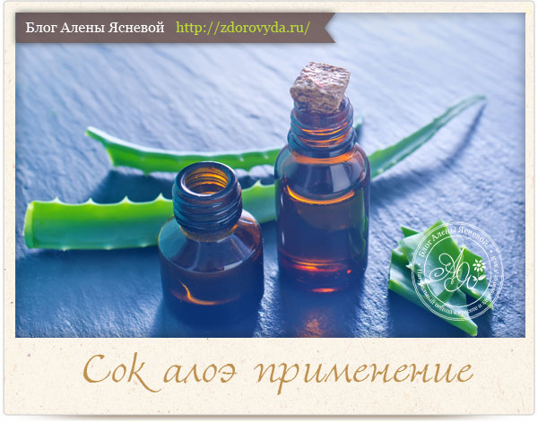 Корисні лікувальні властивості алое та протипоказання застосування соку алое